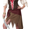 Buccaneer Beauty Pirate Costume