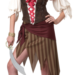 Buccaneer Beauty Pirate Costume