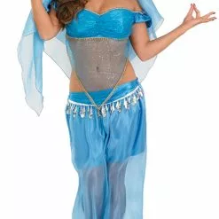Arabian Princess Ladies Fancy Dress