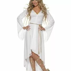 Angel Ladies Fancy Dress