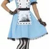 Deluxe Dark Tea Party Alice Ladies Costume
