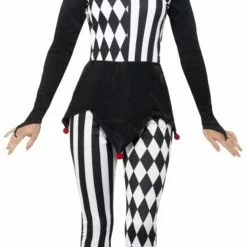 Female Jester Ladies Costume