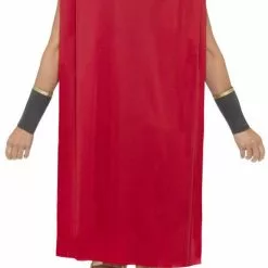 Roman Warrior Ladies Costume -All Ladies Costumes Sales lrgscale45496 B