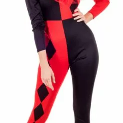 Ladies Harlequin Costume