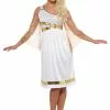 Grecian Ladies Costume