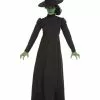 Wicked Witch Ladies Fancy Dress Costume
