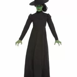 Wicked Witch Ladies Fancy Dress Costume