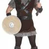 Viking Mens Fancy Dress