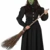 Wicked Witch Womens Fancy Dress Costume