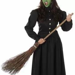Wicked Witch Womens Fancy Dress Costume