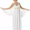 Aphrodite Ladies Costume