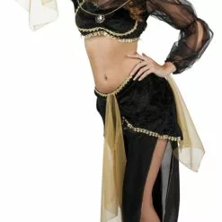 Arabian Princess Ladies Costume