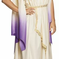 Goddess Luna Ladies Costume
