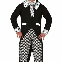 Mens Crazy Hatter Costume