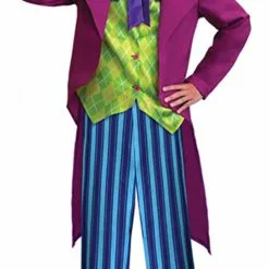 Mens Mad Hatter Fancy Dress Costume