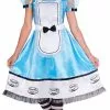 Alice Ladies Costume