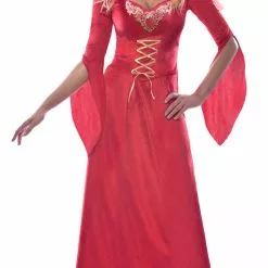 Medieval Maiden Ladies Costume