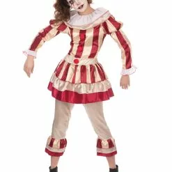 Ladies Carnival Clown Costume