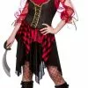 Swashbuckler Pirate Costume