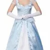 Sweet Cinders Costume