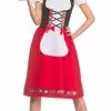 Traditional Bavarian Beer Girl Ladies Costume