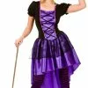 Ladies Glamorous Witch Costume
