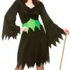 Wicked Witch Ladies Fancy Dress