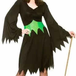 Wicked Witch Ladies Fancy Dress