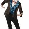 Mad Hatter Mens Costume