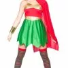 Elf Superhero Ladies Costume