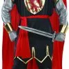 Mens Brave Crusader Knight Fancy Dress Costume