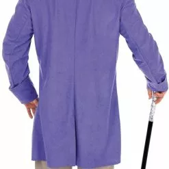 Willy Wonka Costume -All Ladies Costumes Sales lrgscalefactoryownerback