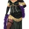 Plus Size Saloon Madame Costume