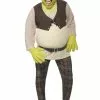 Shrek Costume