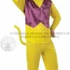 Officially Licensed Top Cat Costume
